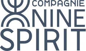 logo Nine Spirit
